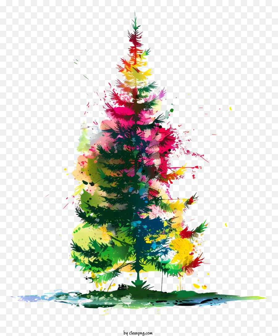 Fir Tree，árbol De Navidad PNG