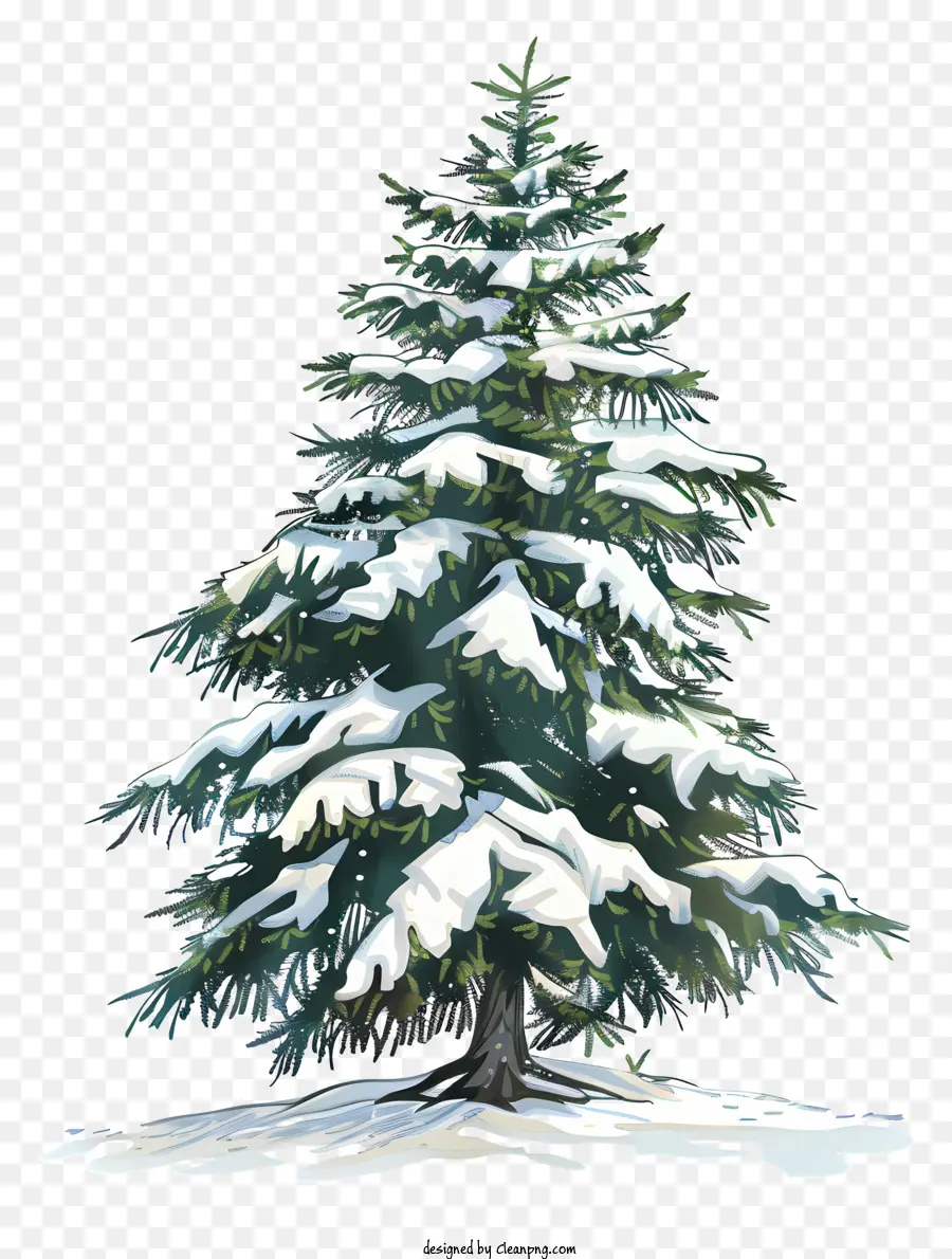 Fir Tree，Árbol De Navidad Cubierto De Nieve PNG