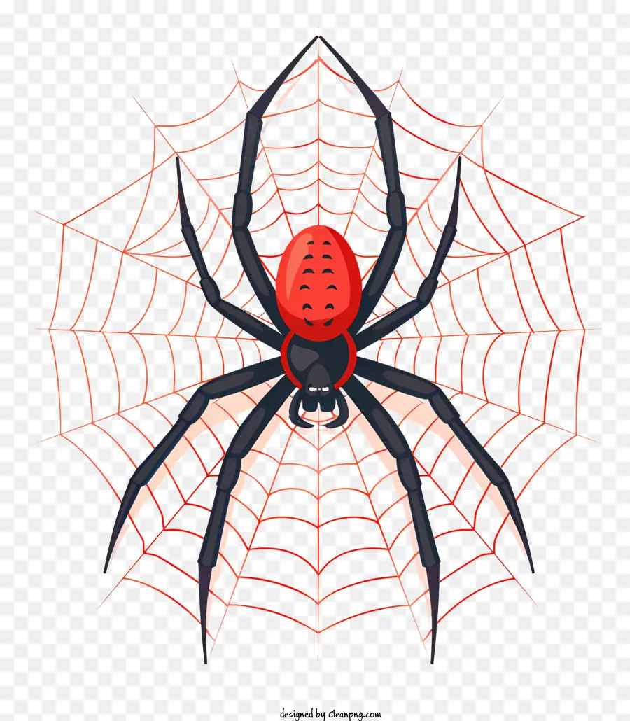 Araña，Web PNG