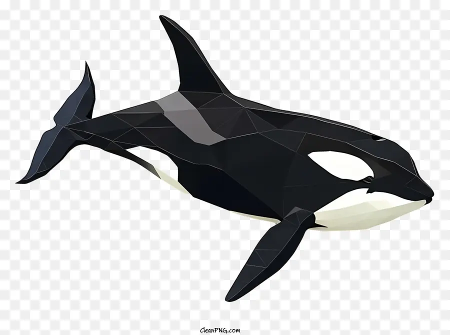 Orca，Ballena PNG