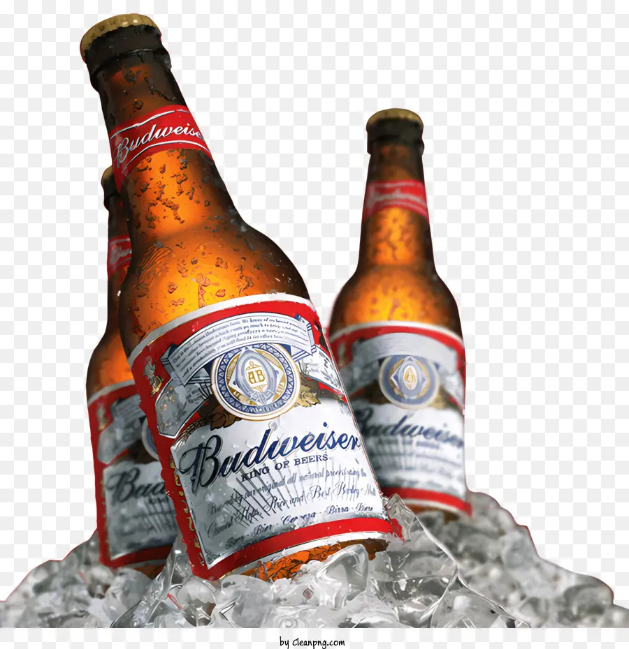 La Cerveza，Botellas PNG