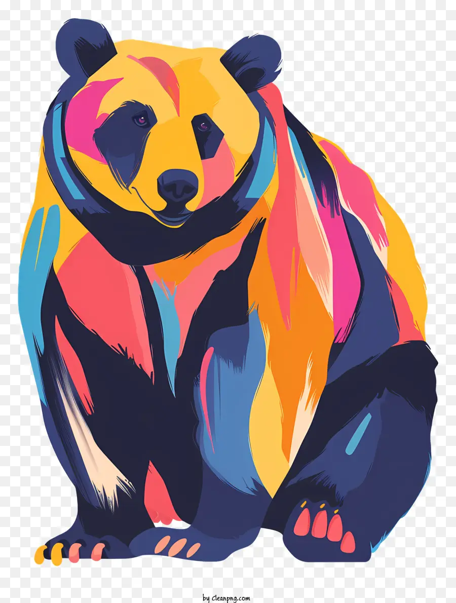 Oso，Oso Colorido PNG