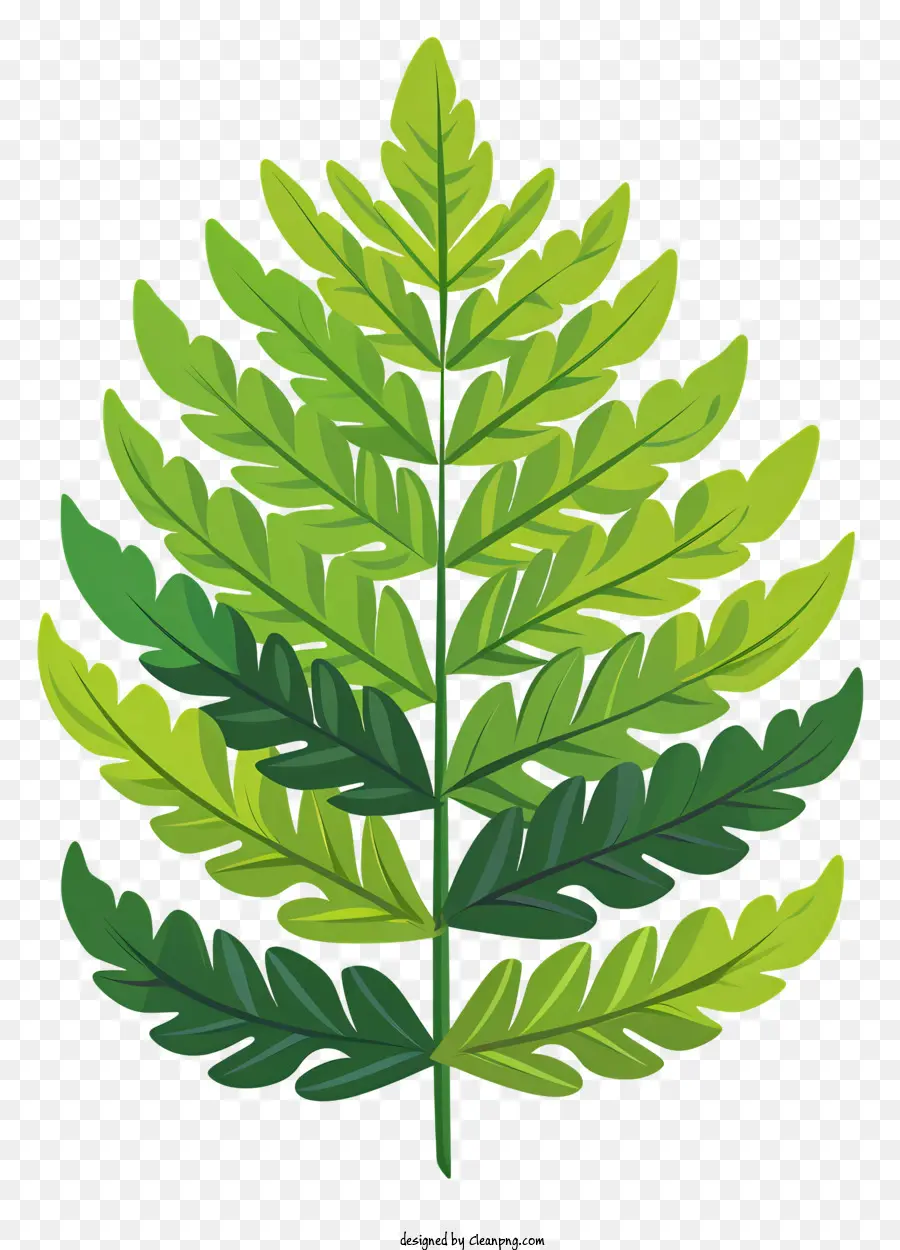 Hoja De Helecho Verde，Verde Hoja PNG