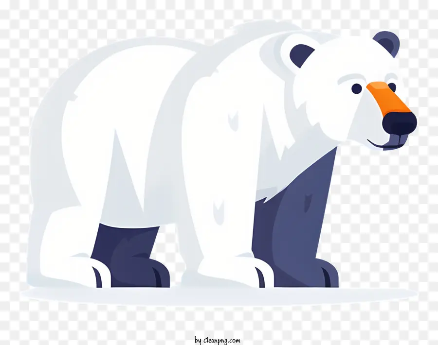 Oso Polar，Blanco PNG