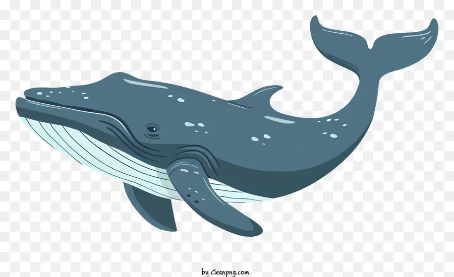 Ballena，La Ballena Azul PNG