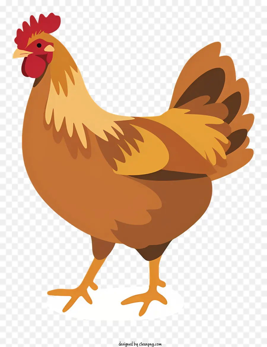 Pollo，Permanente PNG