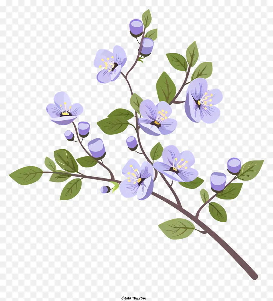 Flores Moradas Florecientes，Flores De Color Azul PNG