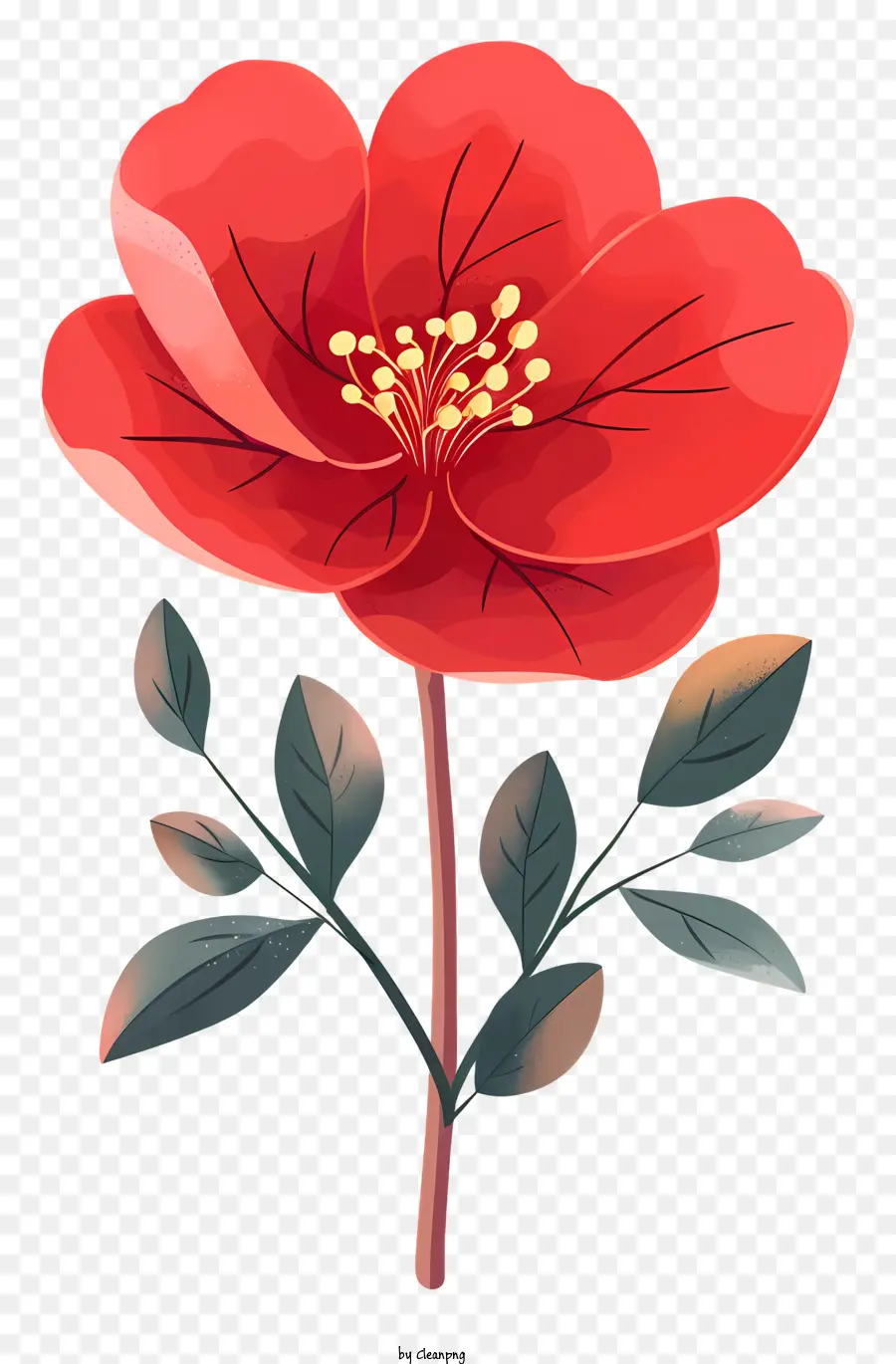 Flor De Flor Roja，Flor Roja PNG