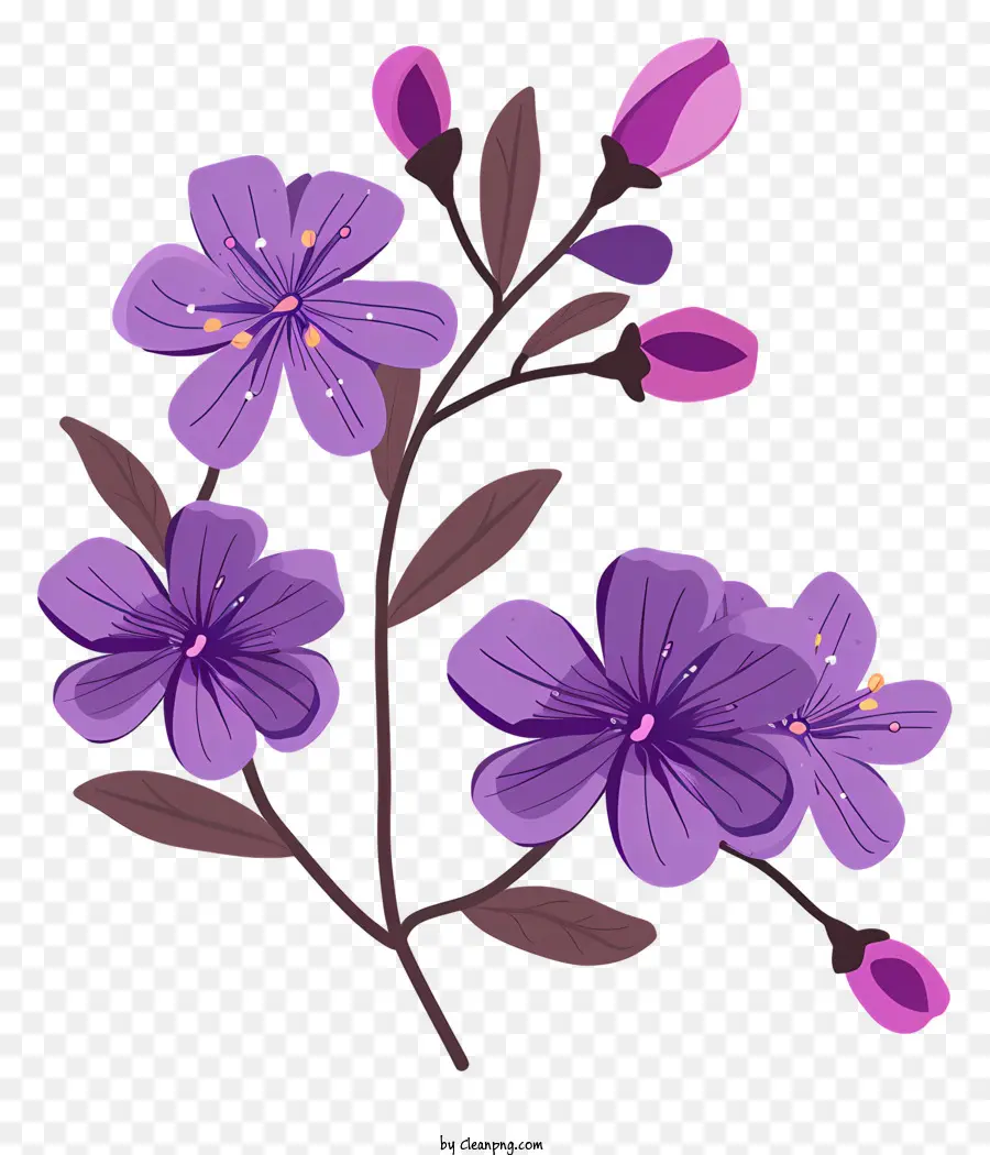 Flores Moradas Florecientes，Flor Morada PNG