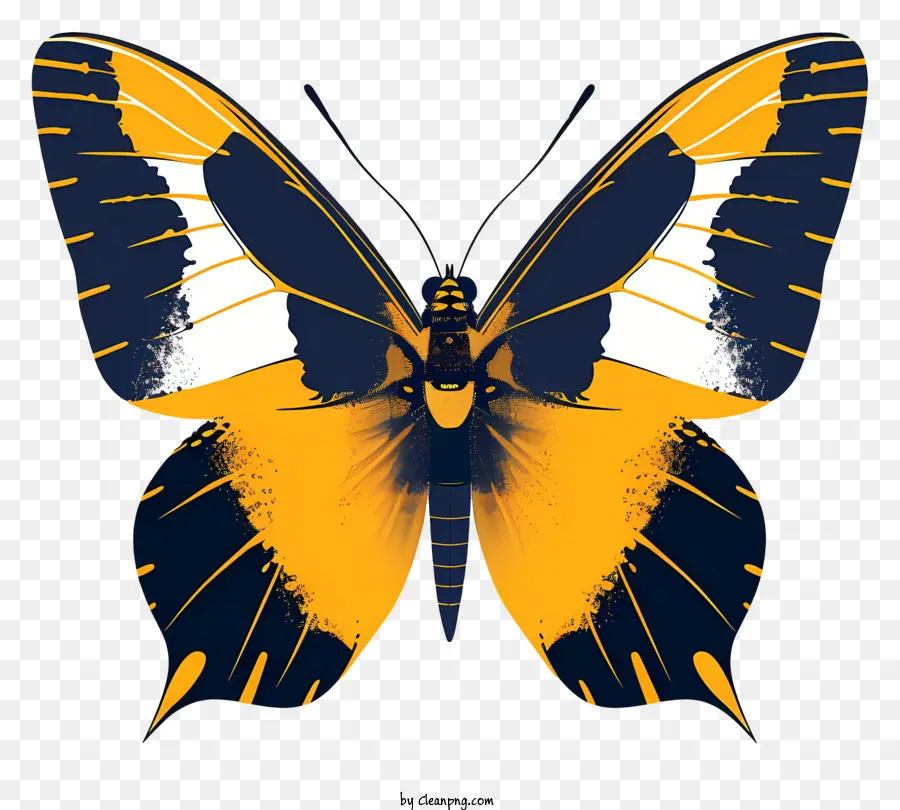 La Silueta De La Mariposa，Mariposa PNG