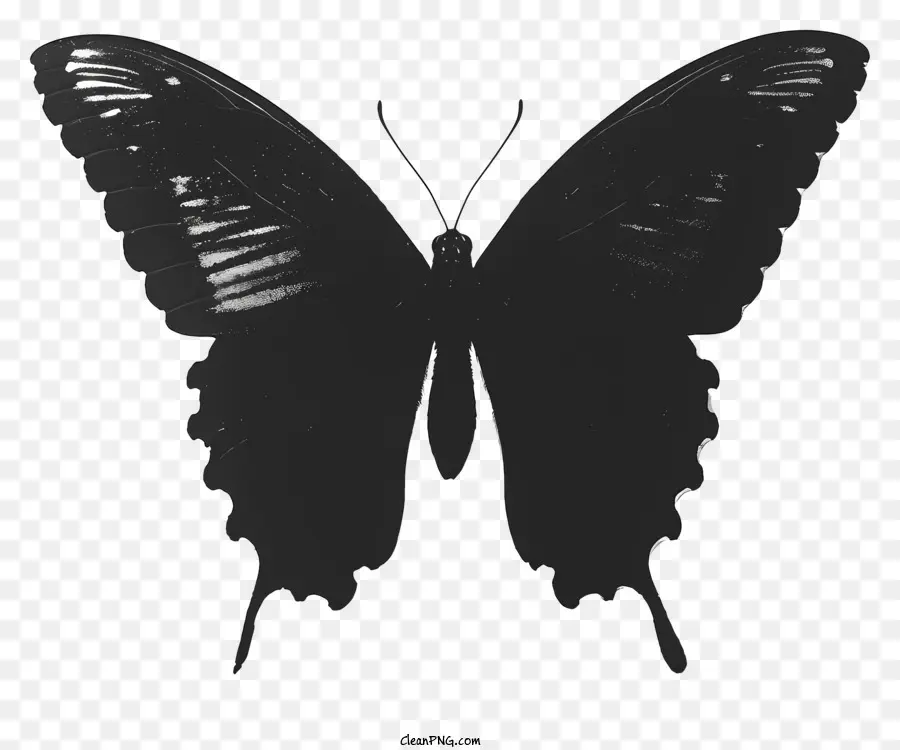 La Silueta De La Mariposa，Mariposa Negra PNG