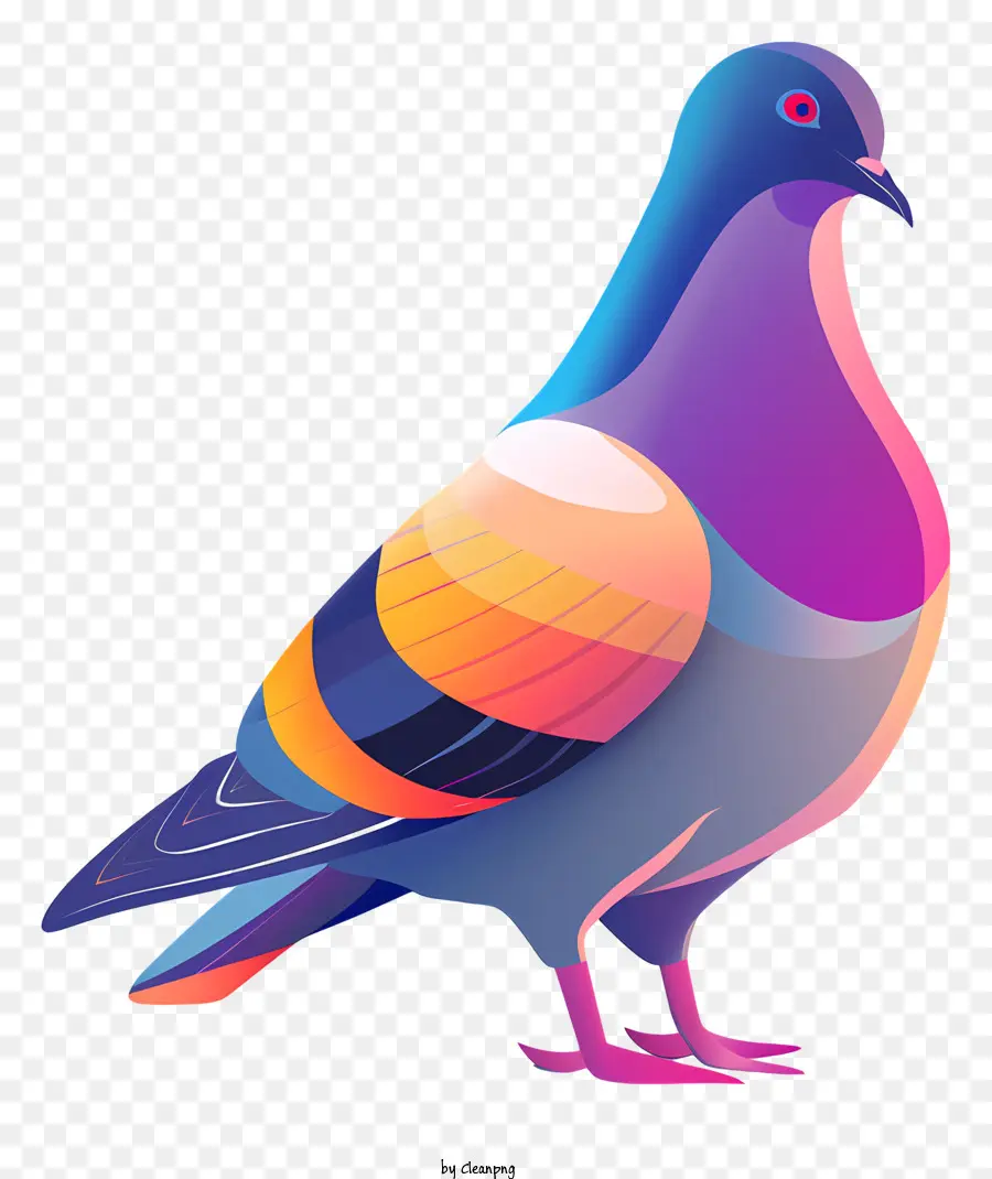 Paloma，Aves PNG