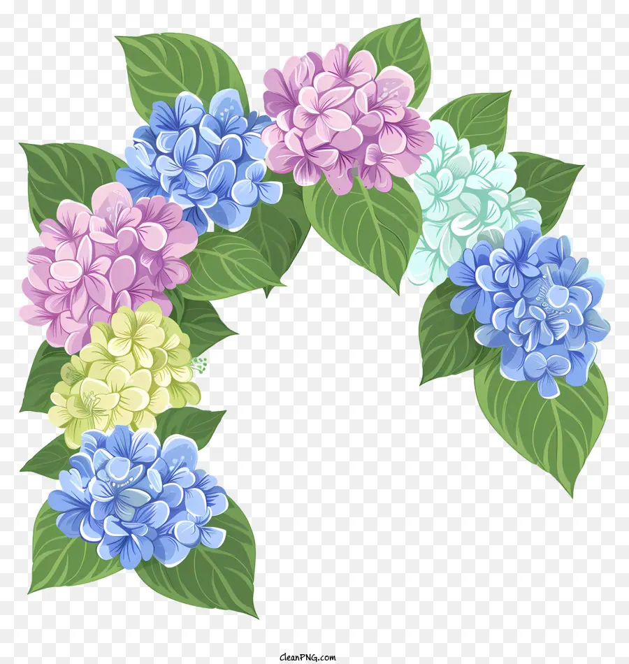 Corona De Hortensias，Hortensia PNG