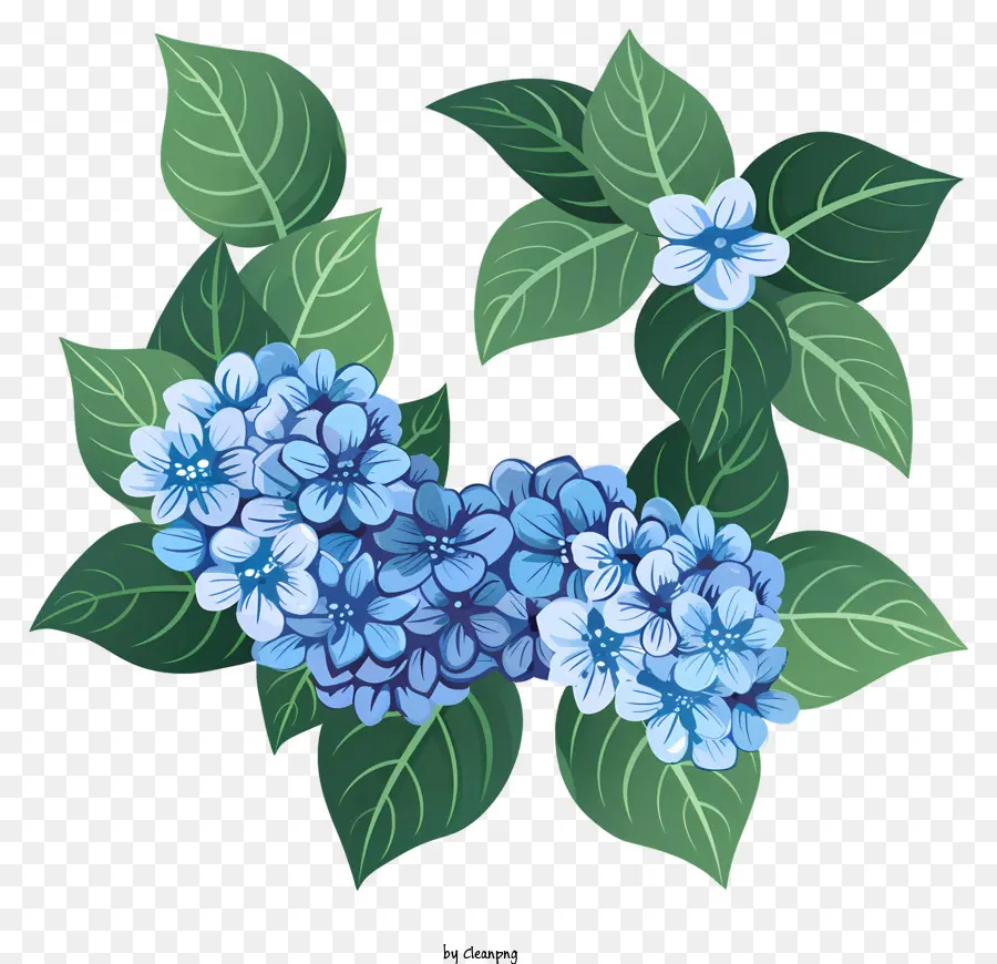 Las Hortensias，Corona De Hortensia Azul PNG