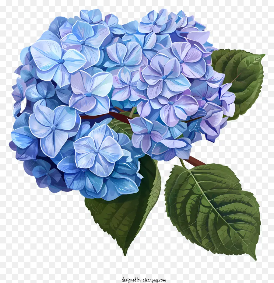 Las Hortensias，Hidrante Azul PNG