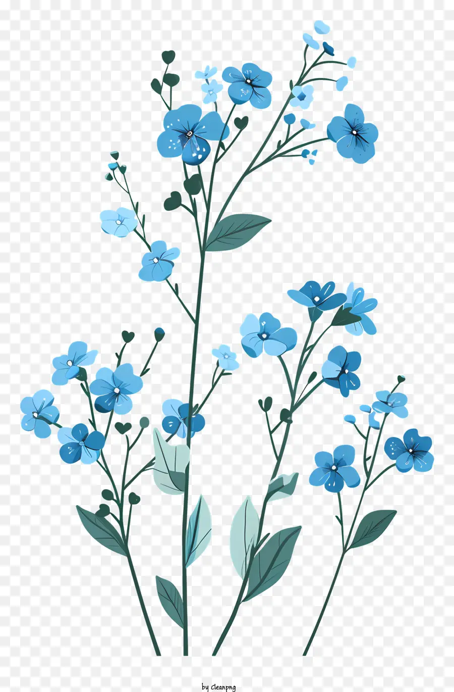 Nomeolvides，Flores Azules PNG