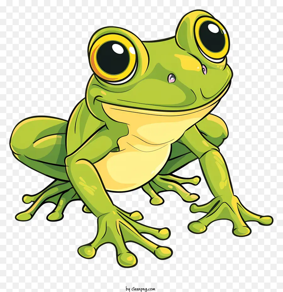 Cartoon Frog，Rana PNG