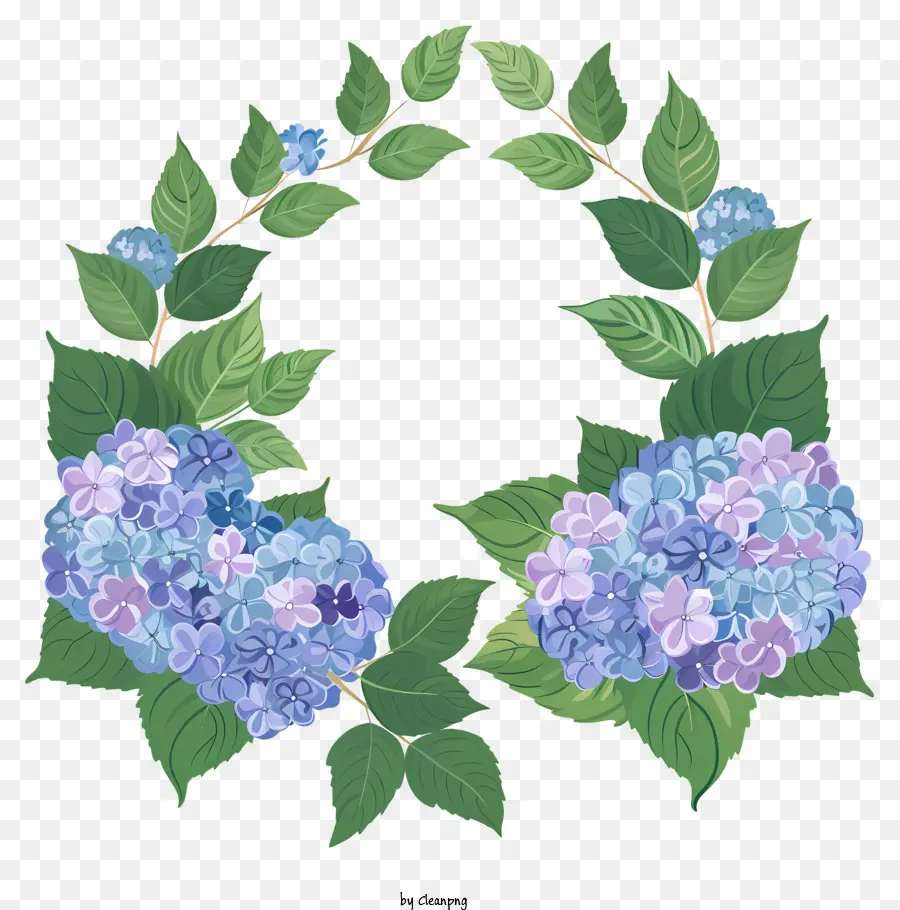 Corona De Hortensias，Las Hortensias PNG