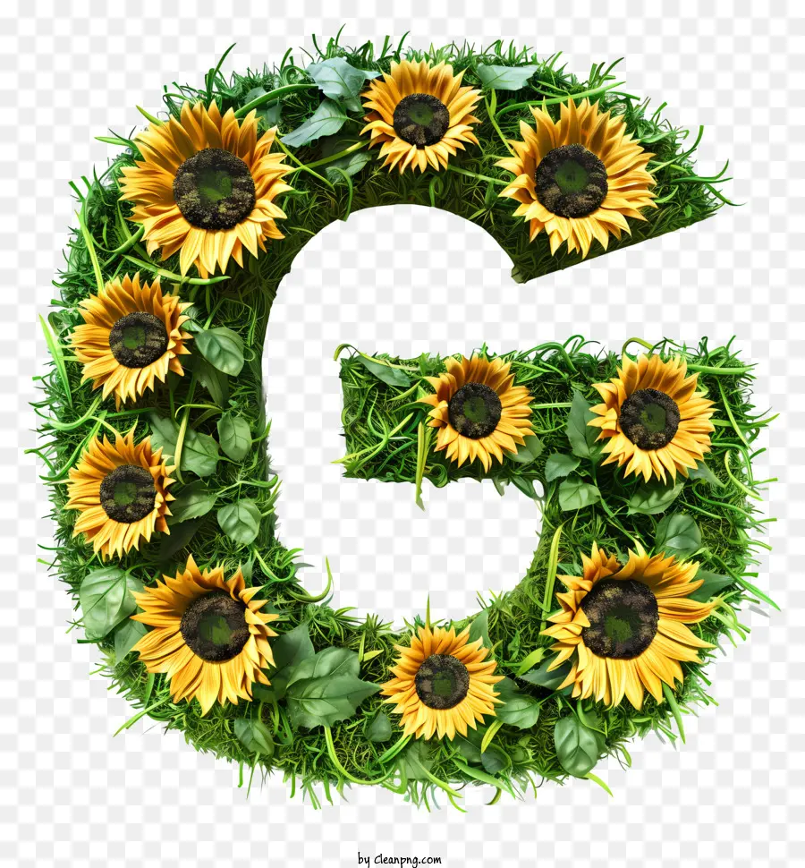 Letra G，Letra De Girasol G PNG