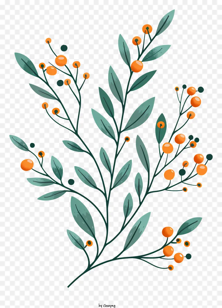 Bayas De Naranja，Árbol PNG