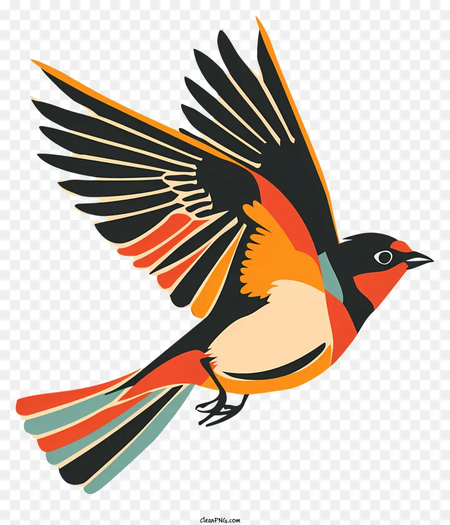 Ave Que Vuela，Pájaro De Colores PNG