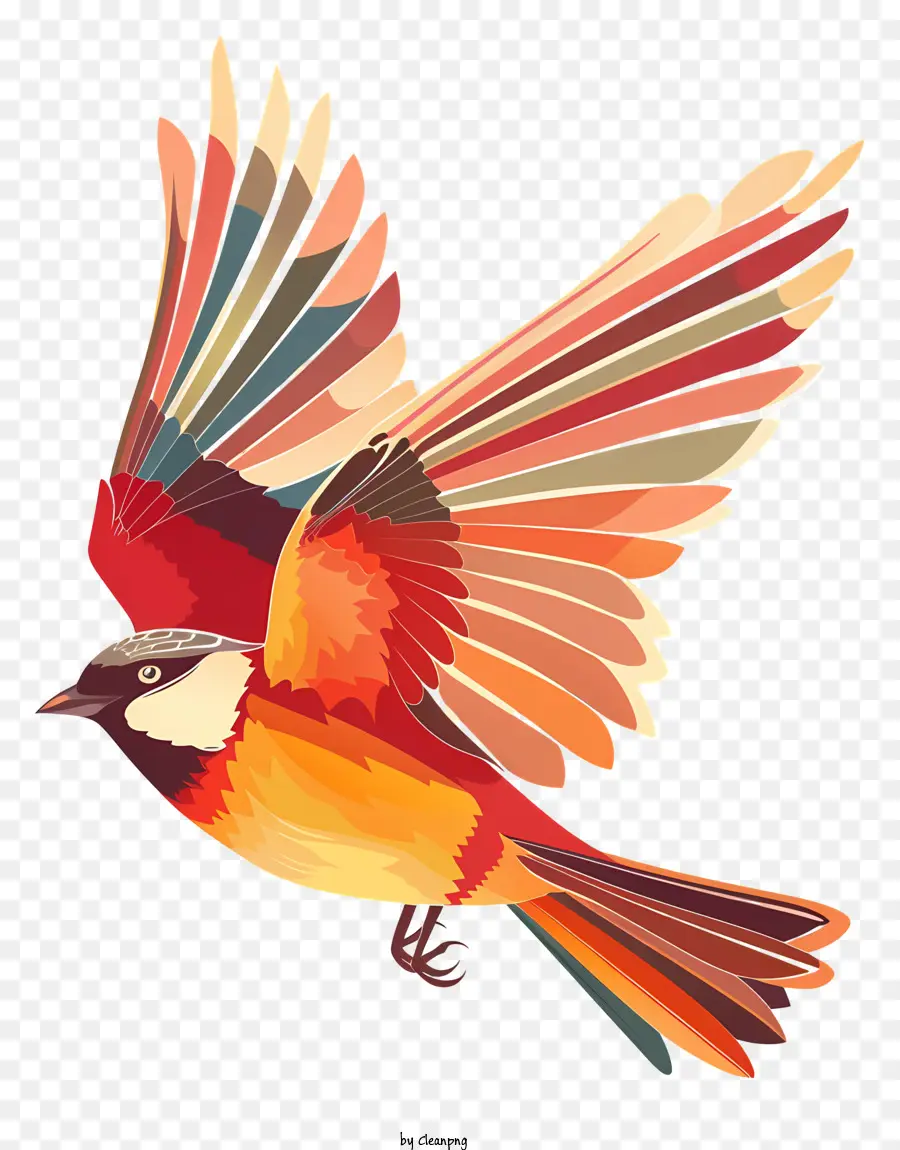 Ave Que Vuela，Aves PNG