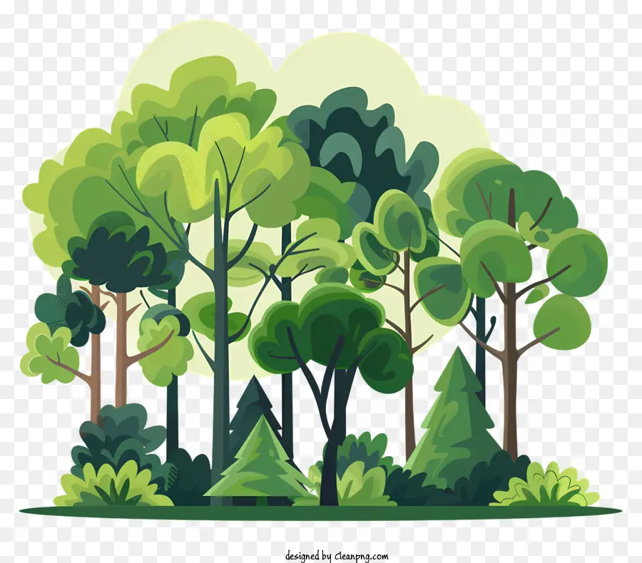 árboles Forestales，árboles Verdes PNG