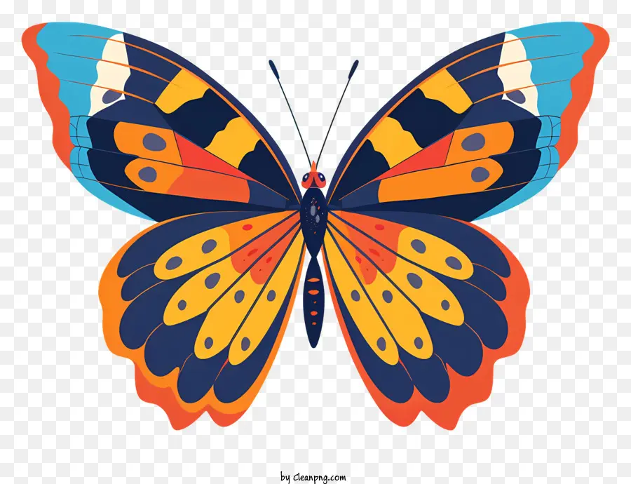 Mariposa，Mariposa Colorida PNG