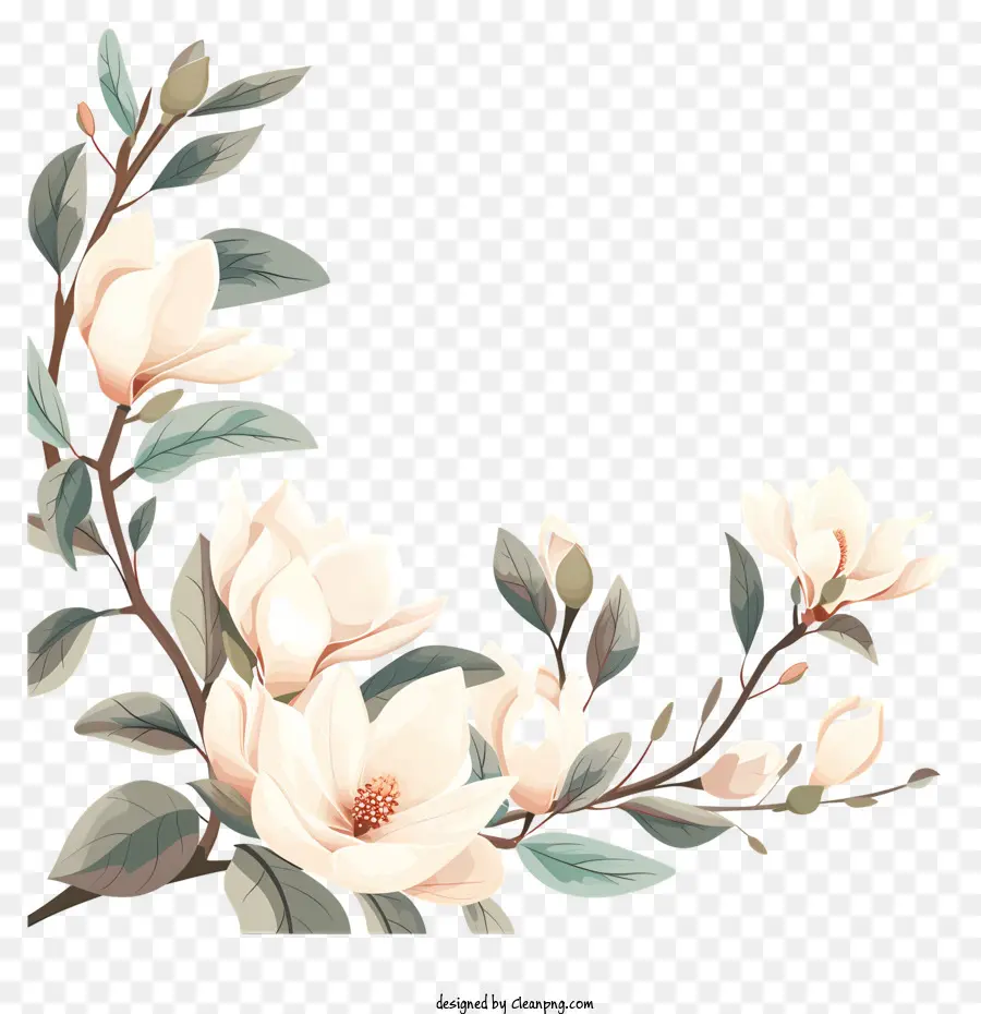 Esquina De Flores De Magnolia，Flower Painting PNG