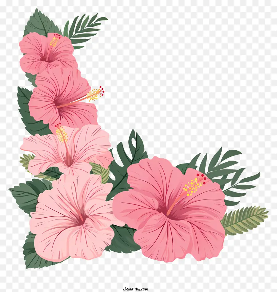 Esquina De Flores De Hibisco，Hibisco PNG