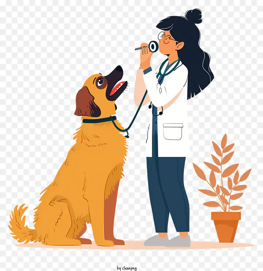 Veterinario，Perro PNG