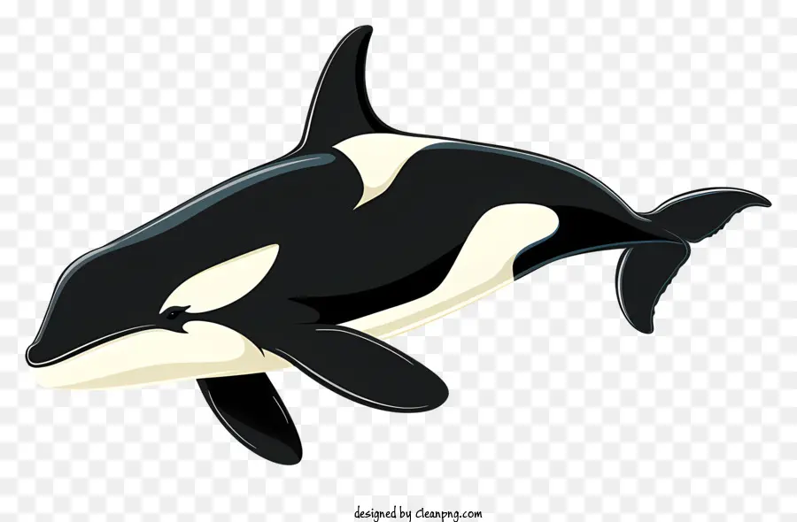 La Ballena Asesina，Ballena PNG