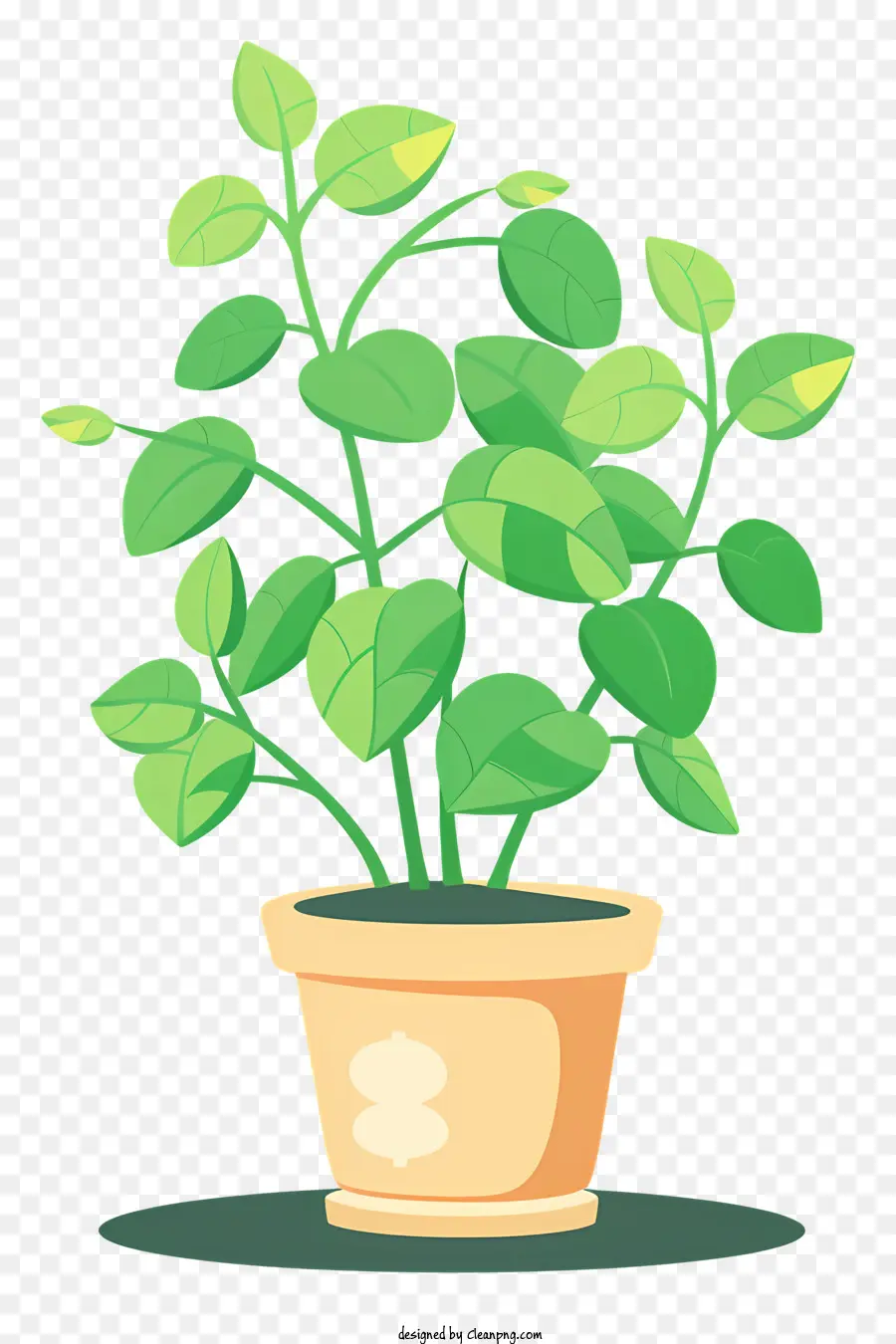 Planta Del Dinero，Las Plantas En Maceta PNG