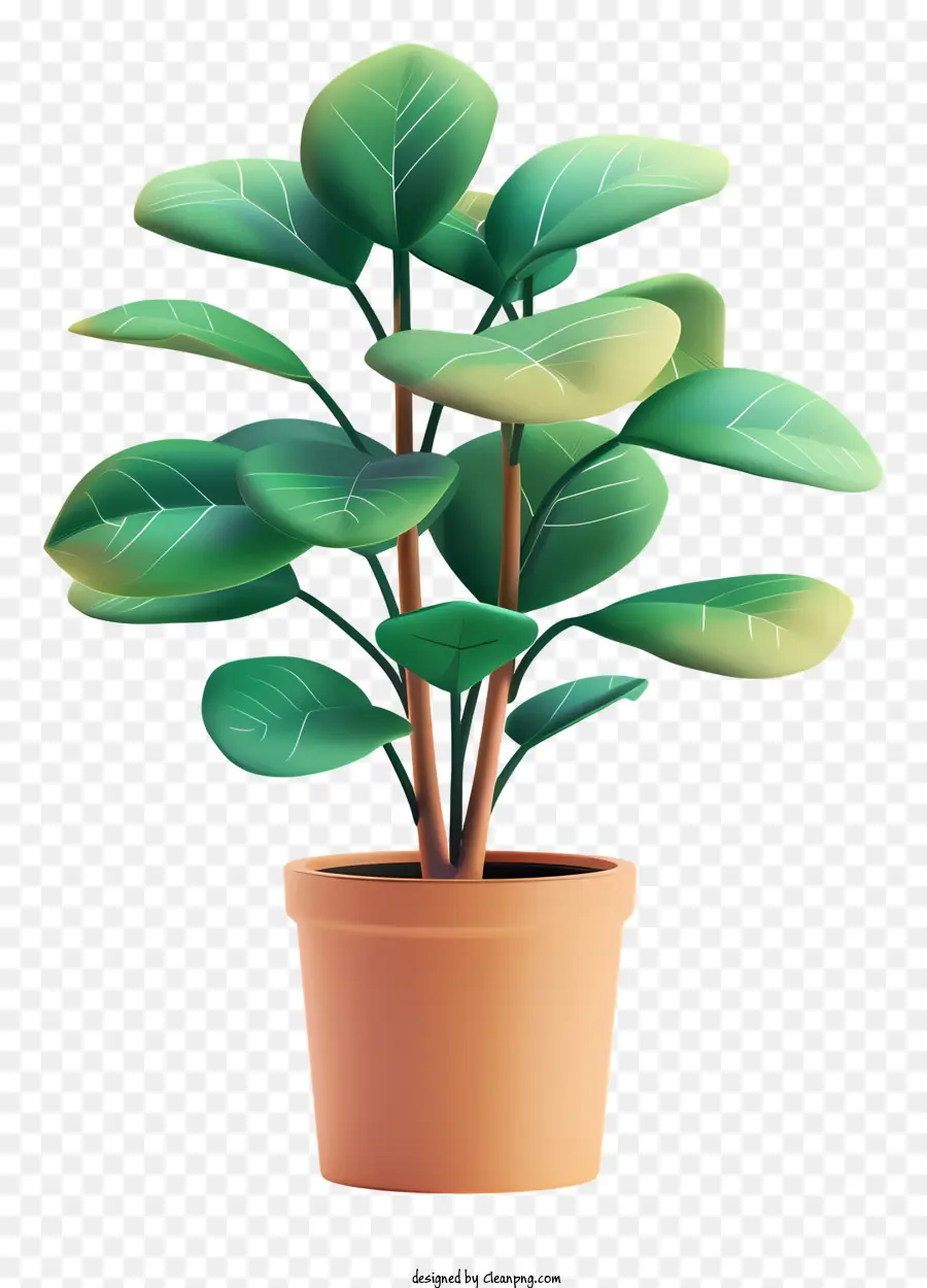 Planta De Dinero，Planta PNG