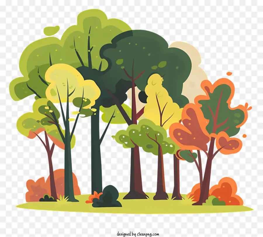 Los árboles De Los Bosques，Bosque PNG