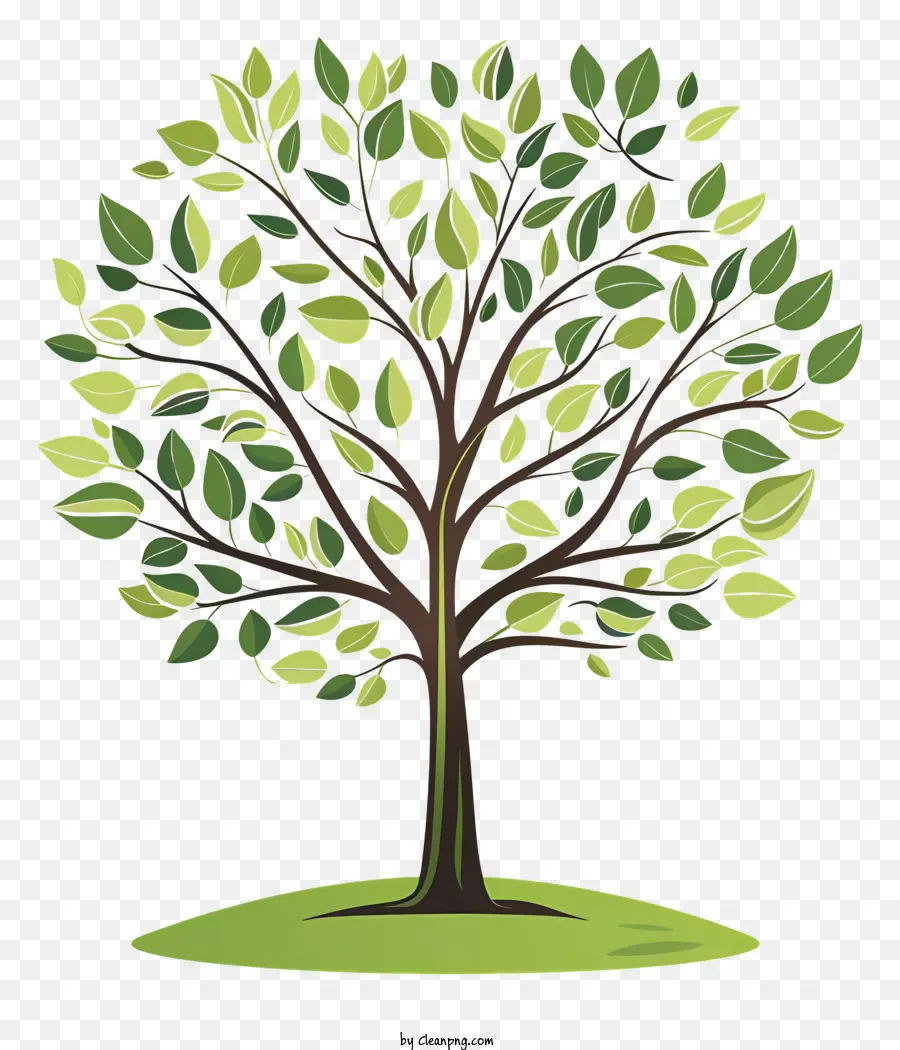 El Día Del árbol，Árbol PNG