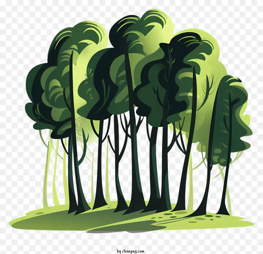 Los árboles De Los Bosques，Bosque Verde PNG