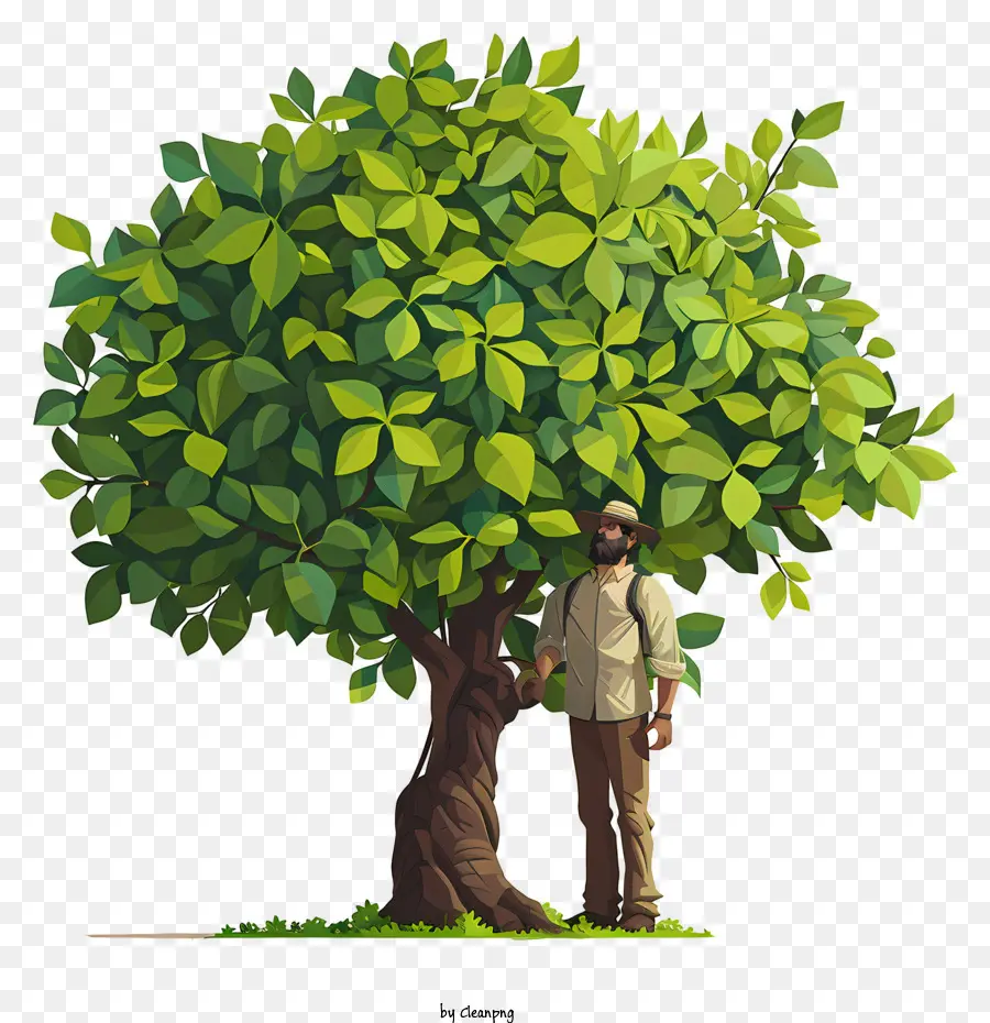 Dia Del Arbol，árbol Verde PNG