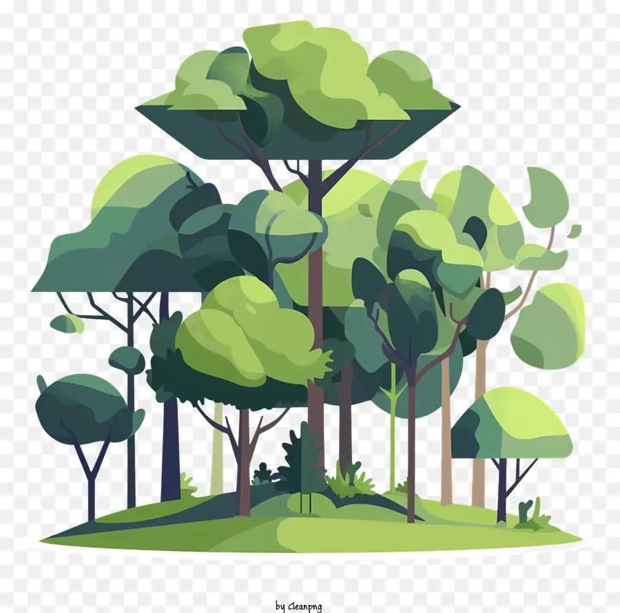 Los árboles De Los Bosques，Bosque PNG