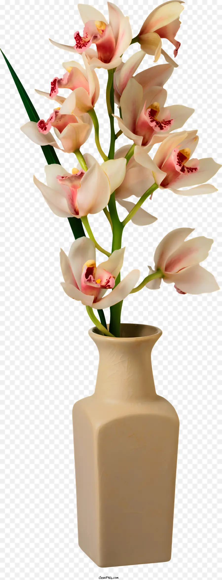 Blumen，Flor PNG