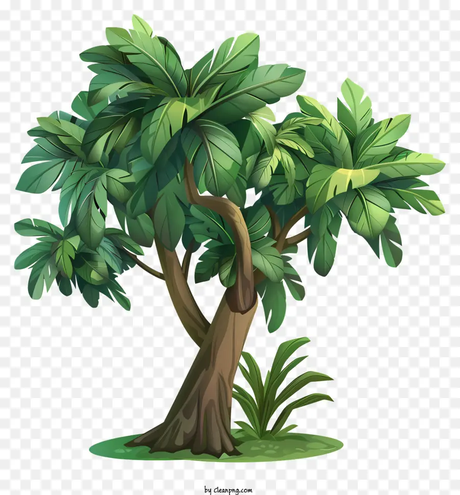 Árbol Tropical 3d，Selva PNG