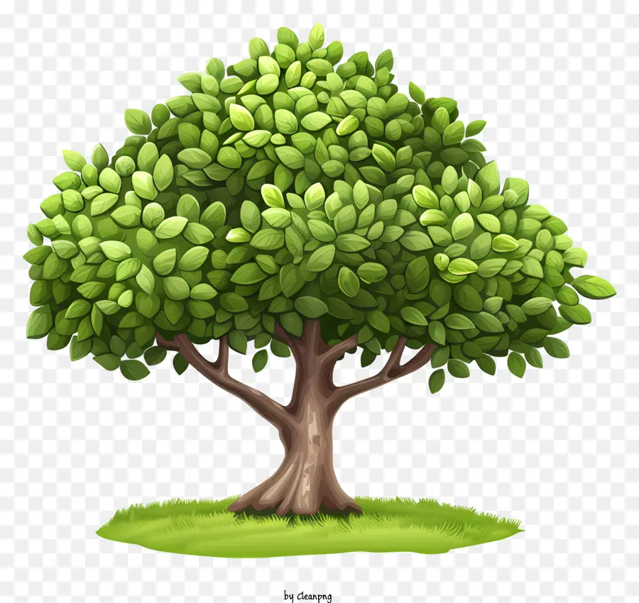 El Día Del árbol，Las Ramas De Los árboles PNG