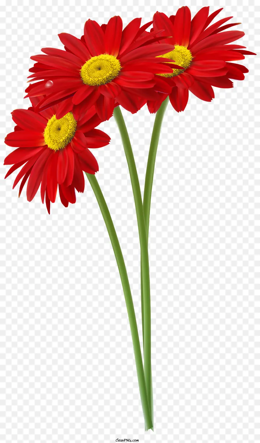 Blumen，Flor PNG