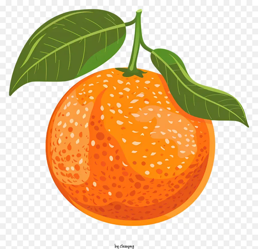 Mandarina，Naranja PNG