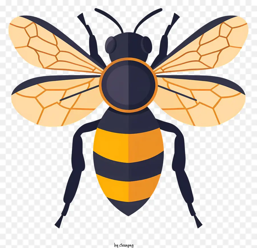 Abeja，Miel PNG