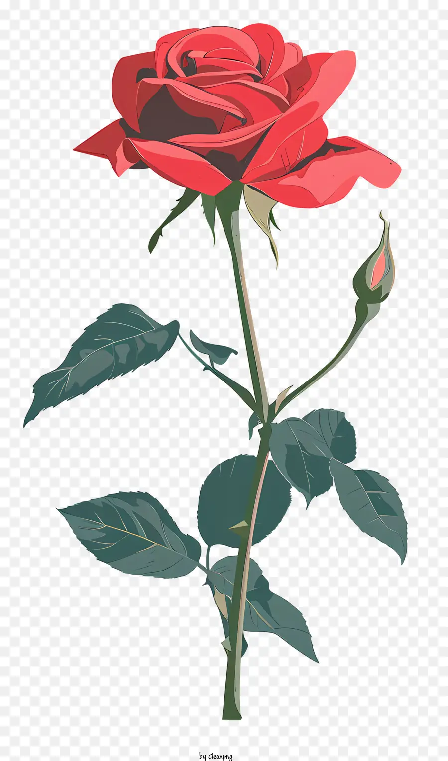 Rosa Roja，Rosa Amarilla PNG