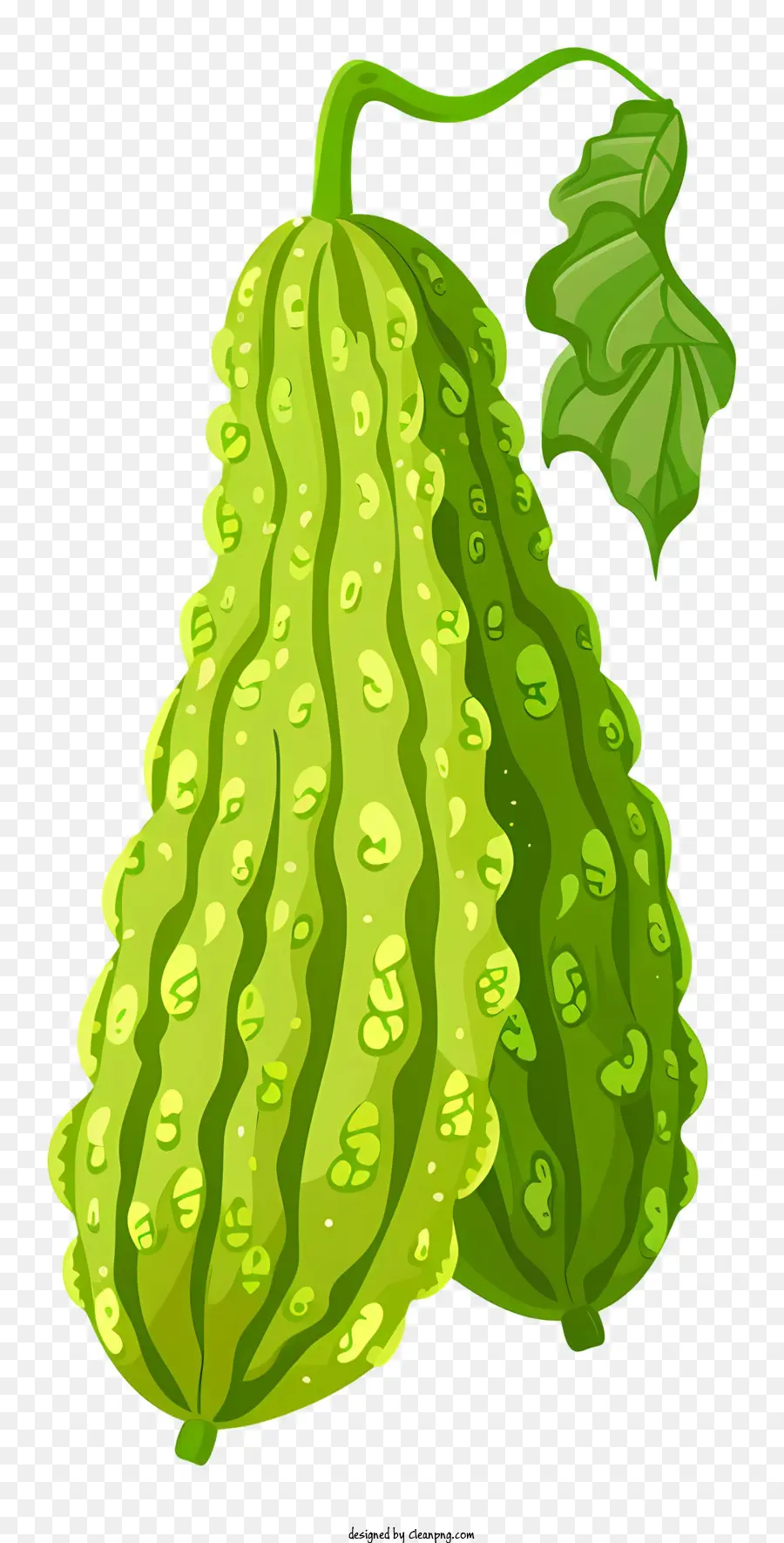 Melón Amargo，Melón Amargo Verde PNG