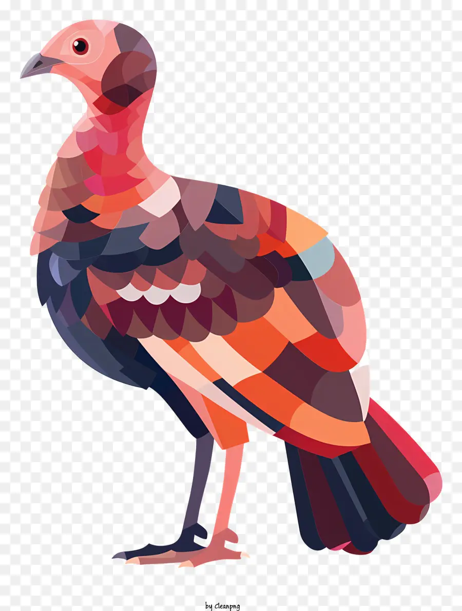 Turquía，Plumas Rojas PNG