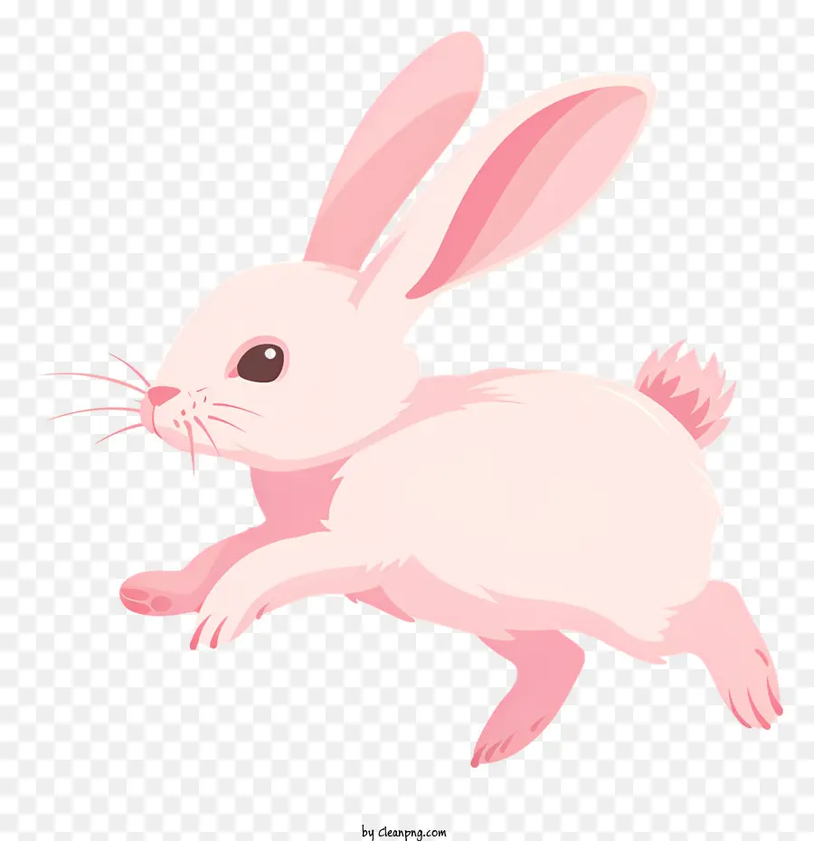 Bunny Hop，Conejo Blanco PNG