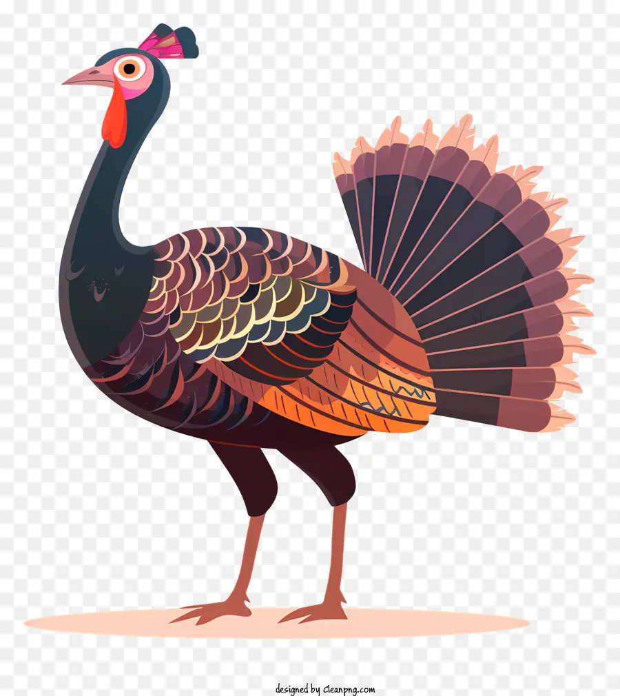 Turquía，Aves PNG